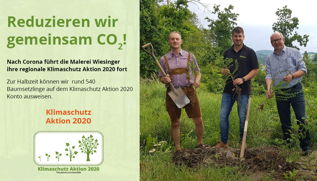 Malerei Wiesinger Klimaschutz Aktion 2020 520 Baumsetzlinge zur Halbzeit